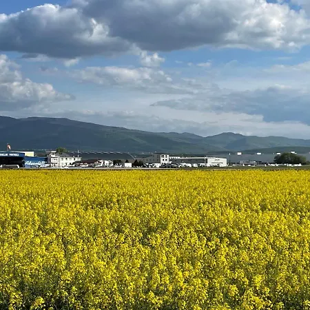 Casa de Férias Rose